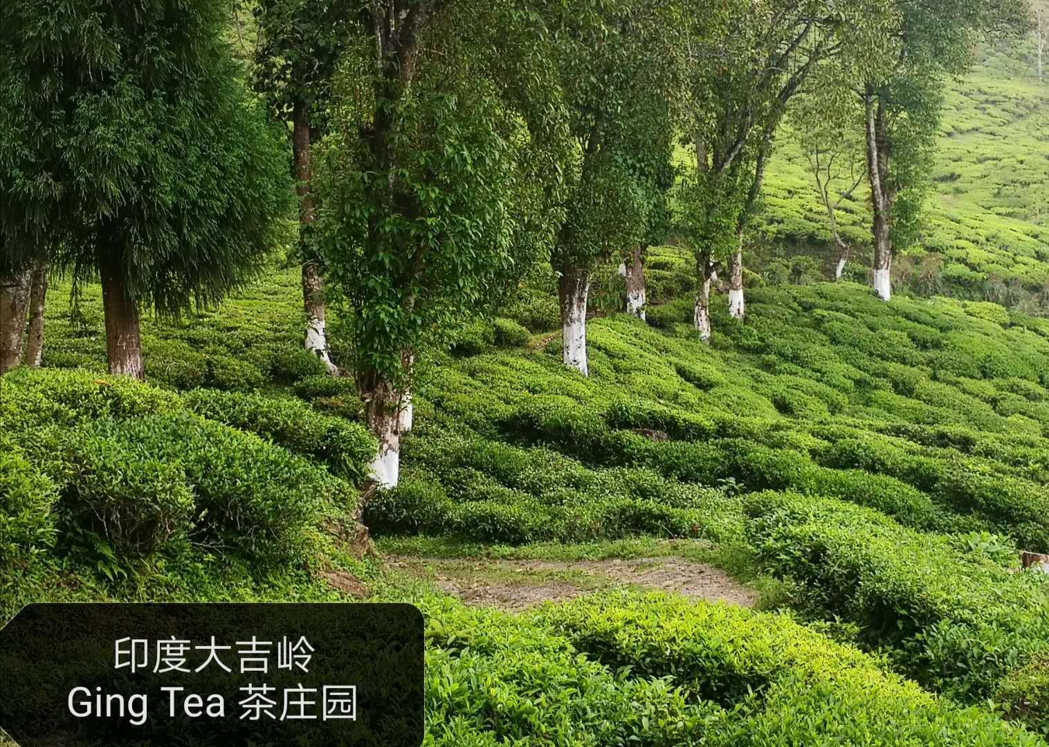 Tea is love…