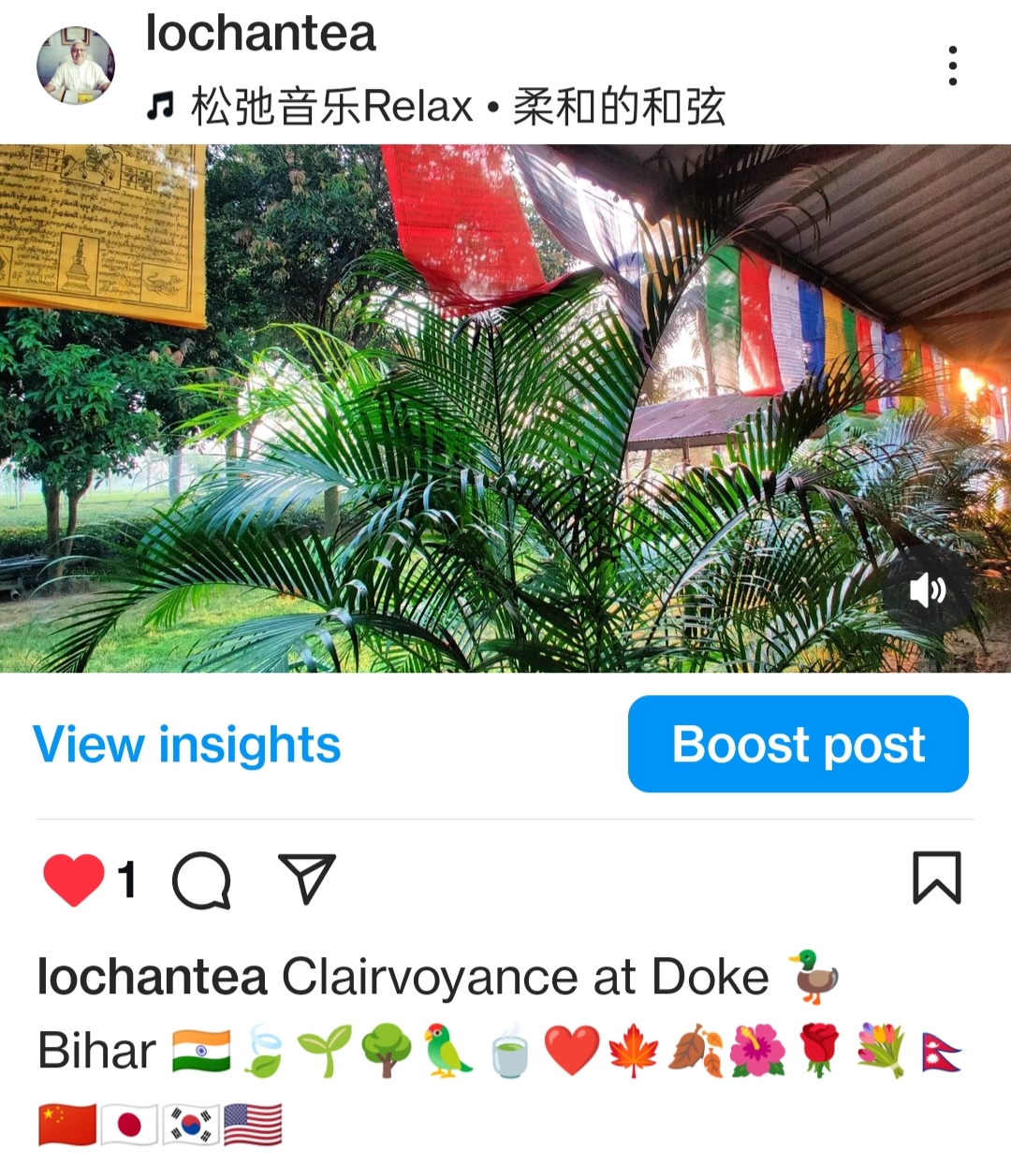 Tea & Buddhism 🙏🇮🇳🇨🇳🇯🇵🍵🦜